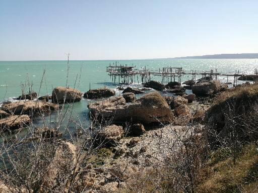 La Giuggiola Bed & Breakfast